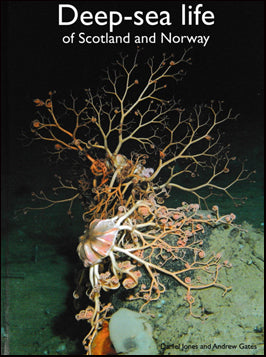 Deep-sea life og Scotland and Norway # 40346