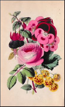 The Culture of Flowers and Plants # 42003