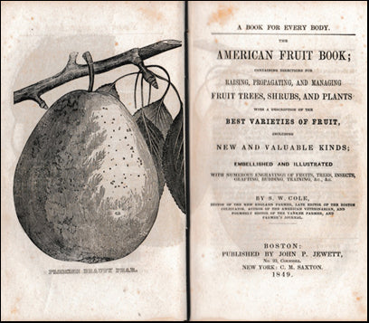The American Fruit Book # 42201