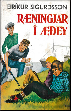 Ræningjar í Æðey # 42320