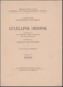 Lulelapsk ordbok # 42658