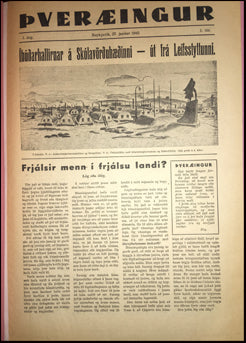 Þveræingur # 60230