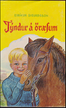 Týndur á öræfum # 43301