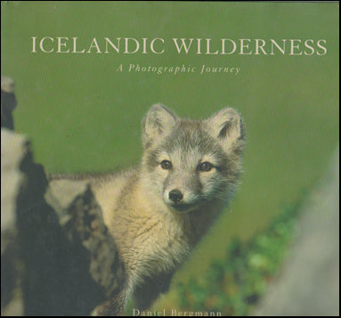 Icelandic wilderness # 43394