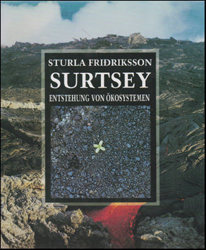 Surtsey. Entstehung von ökosystemen # 43571