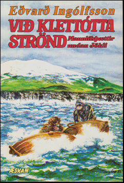 Við klettótta strönd # 44139