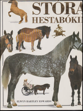 Stóra hestabókin # 80621