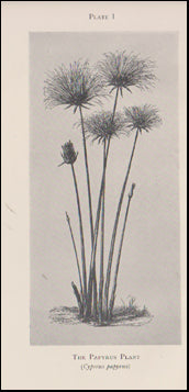 A Companion to Classical Texts # 44671