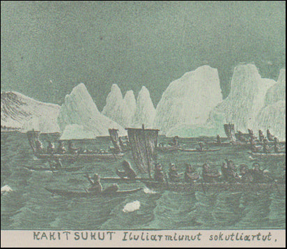 Kaladlit okalluktualliait # 44852