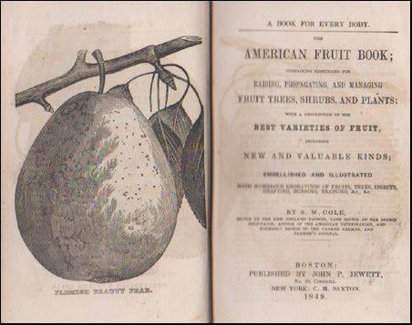 The American Fruit Book # 44984