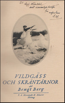 Vildgäss och skräntärnor # 45205