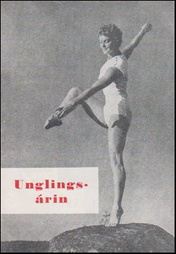 Unglingsárin # 47963