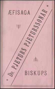 Æfisaga Pjeturs Pjeturssonar # 48199