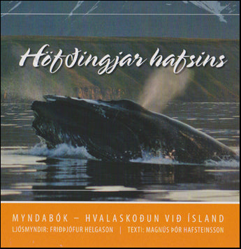 Höfðingjar hafsins # 52514
