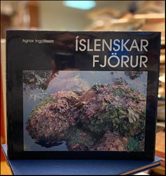 Íslenskar fjörur # 74744