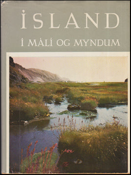 Ísland í máli og myndum # 84860
