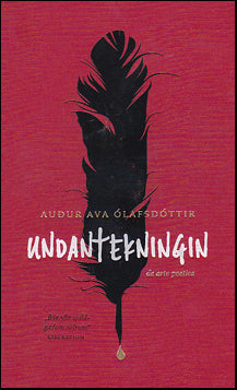 Undantekningin # 84265