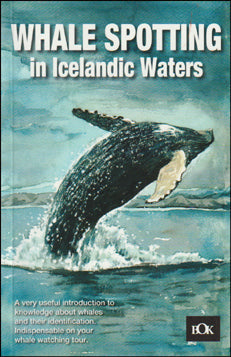Whale spotting in Icelandic waters # 84541
