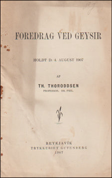 Foredrag ved Geysir # 60285
