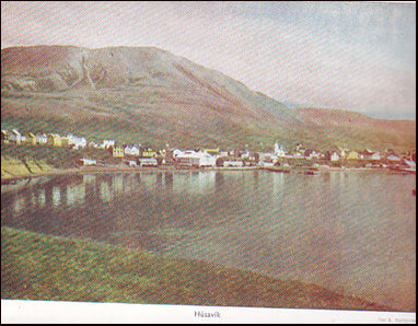 Saga Kaupfélags Þingeyinga # 60527