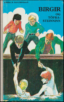 Birgir og töfrasteinninn # 61252