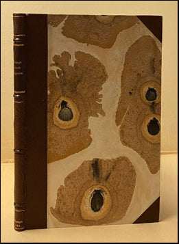 Æfisaga Karls Magnússonar, þessa sanna Íslendings # 61988