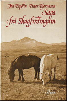 Saga frá Skagfirðingum I-IV # 79609