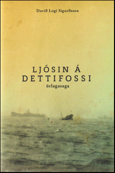 Ljósin á Dettifossi # 64096
