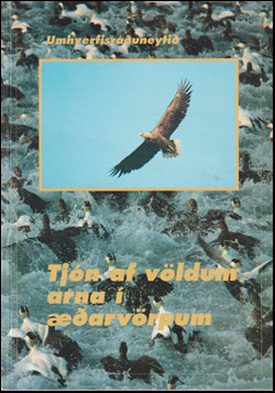 Tjón af völdum arna í æðarvörpum # 64374