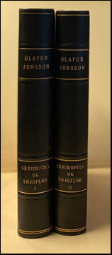 Skriðuföll og snjóflóð I-II # 64844