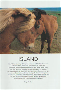 Island # 64891
