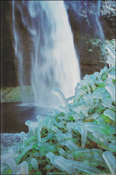 Iceland Untamed # 64937