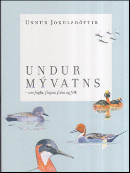 Undur Mývatns # 64961