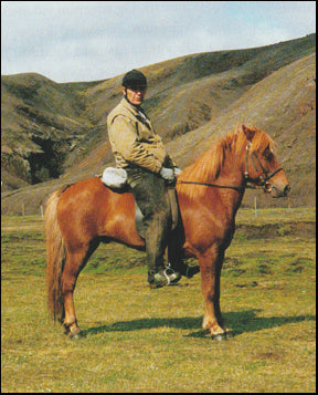 Reiðleiðir um Ísland # 65063