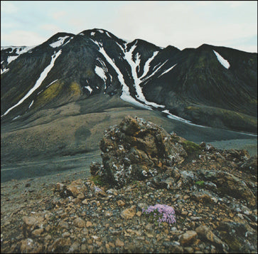 The Eddence of Iceland # 65140