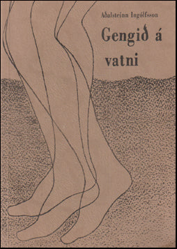 Gengið á vatni # 16698