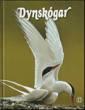 Dynskógar nr. 12 # 70590