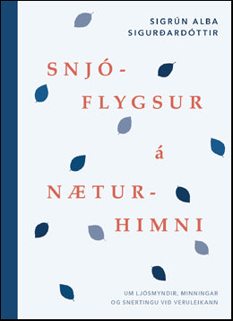 Snjóflygsur á næturhimni # 70812