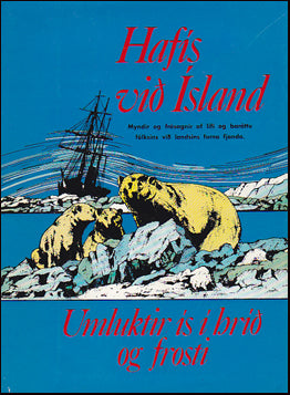 Hafís við Ísland. Umluktir ís í hríð og frosti # 71886