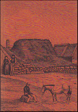 En färd till Island sommaren 1857 # 74229