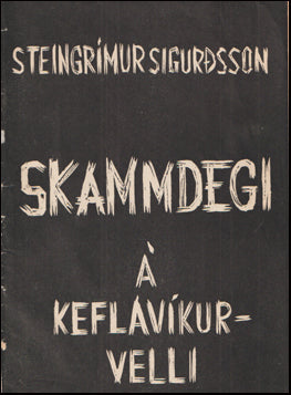 Skammdegi á Keflavíkurvelli # 18600