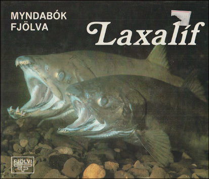 Laxalíf # 77934
