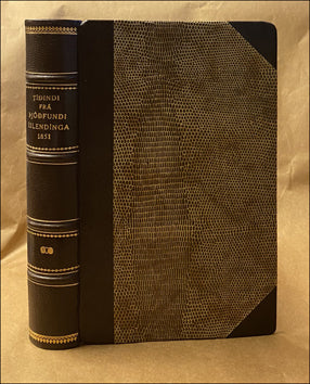 Tíðindi frá Þjóðfundi íslendinga árið 1851 # 78577