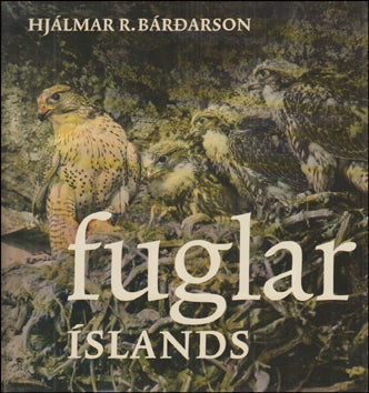 Fuglar Íslands # 87479
