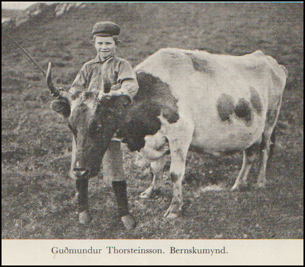 Guðmundur Thorsteinsson # 88753