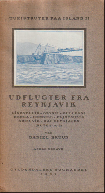 Udflugter fra Reykjavík # 88941