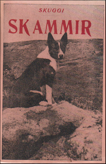 Skammir sem menn hafa alltaf biðið eftir # 88950