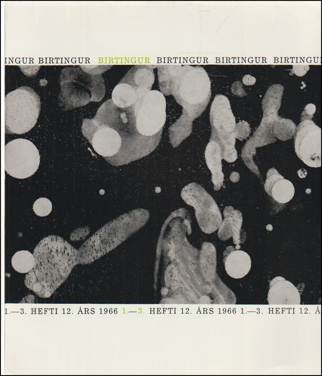 Birtingur. 1. - 3. hefti 1966 # 89381
