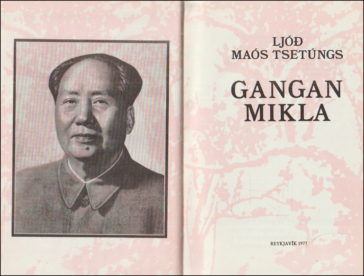 Gangan mikla # 89409
