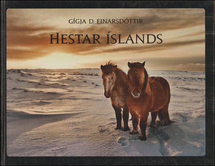 Hestar Íslands # 89466